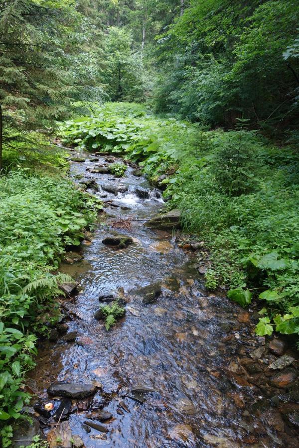 Penzion Chata Na Mlýně Horni Mesto Esterno foto